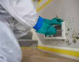 Mold remediation in ducts